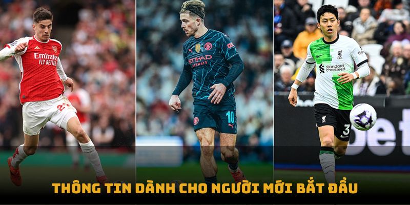 Thông tin dành cho người mới bắt đầu