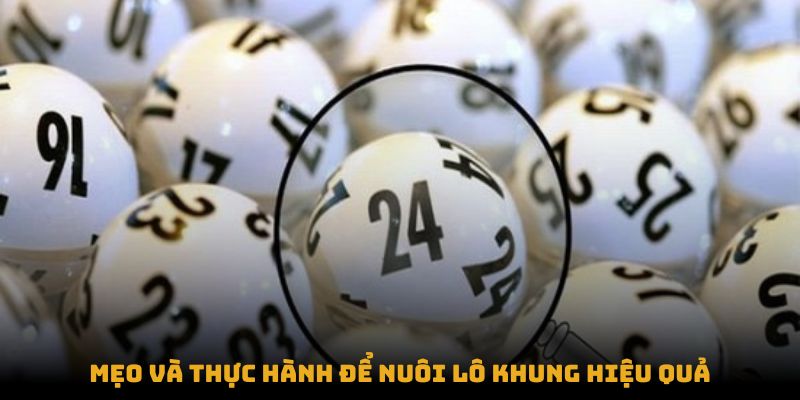 Mẹo và thực hành tốt nhất để nuôi lô khung hiệu quả